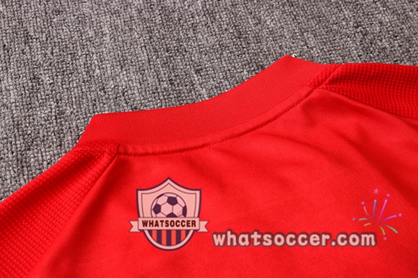 S.L Benfica Red Training Jacket 2020-2021