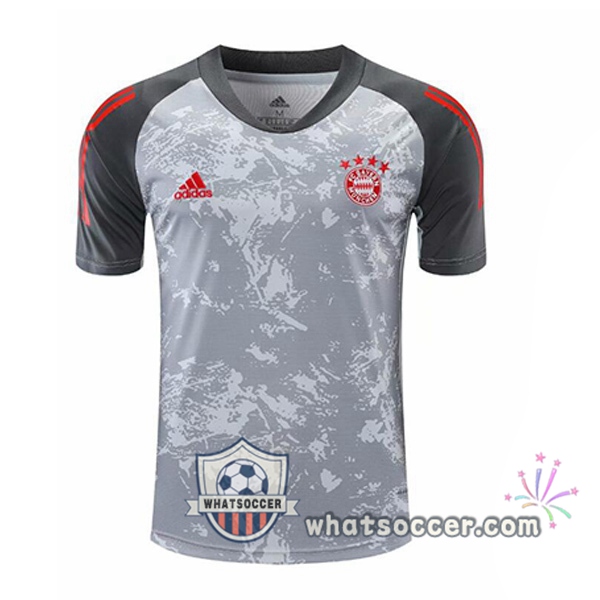 Bayern Munich Gray Training T-Shirts 2020-2021