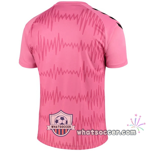 Everton Goalkeeper Soccer Jerseys Rose 2020-2021