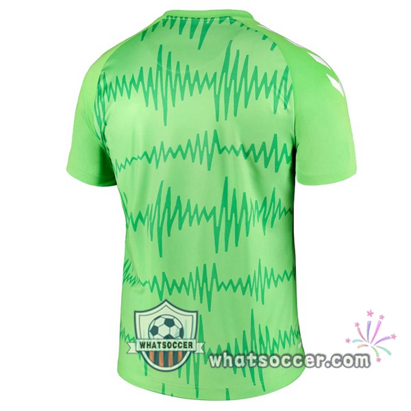 Everton Goalkeeper Soccer Jerseys Green 2020-2021