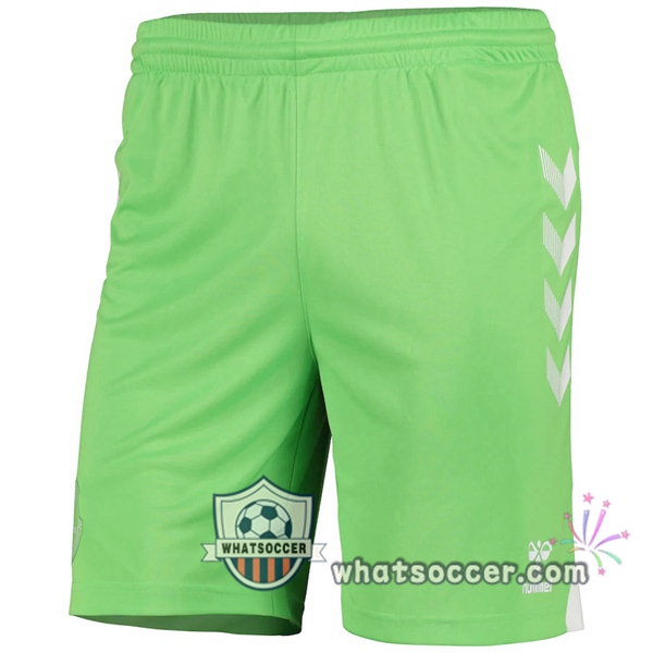Everton Goalkeeper Soccer Jerseys Green 2020-2021
