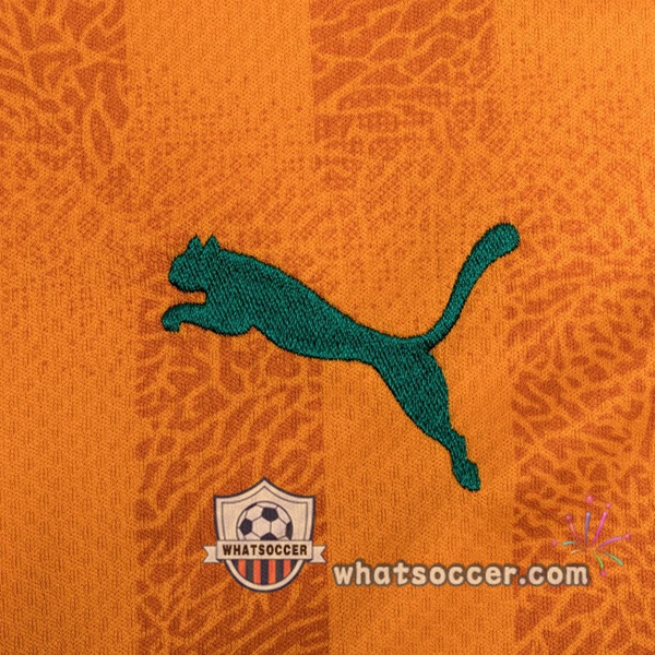 Ivory Coast Home Soccer Jerseys 2020-2021