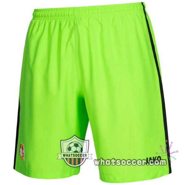 Bayer 04 Leverkusen Goalkeeper Soccer Jerseys Green 2020-2021