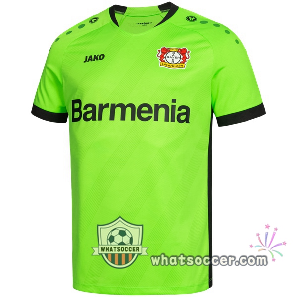 Bayer 04 Leverkusen Goalkeeper Soccer Jerseys Green 2020-2021