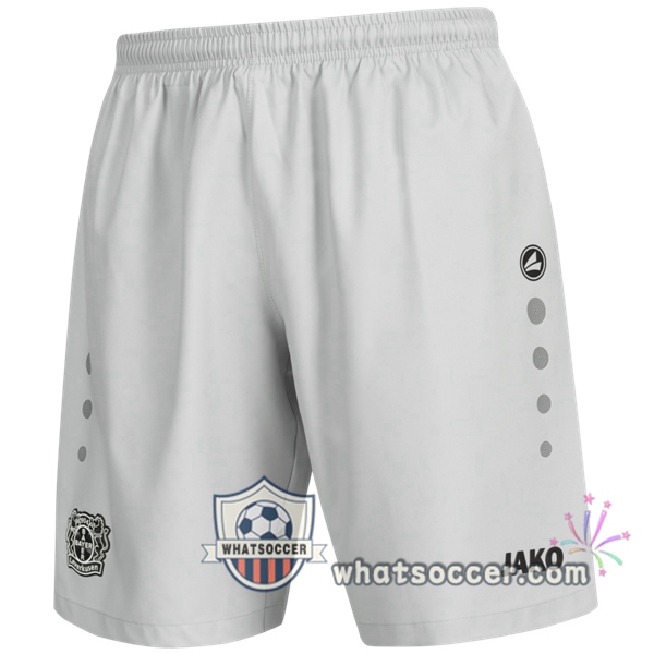 Bayer 04 Leverkusen Third Soccer Jerseys 2020-2021