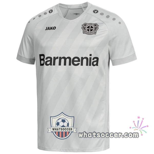 Bayer 04 Leverkusen Third Soccer Jerseys 2020-2021