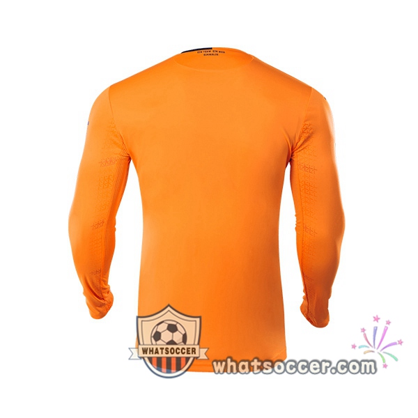 TSG Hoffenheim Goalkeeper Soccer Jerseys Long Sleeve Orange 2020-2021