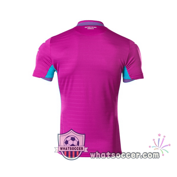 TSG Hoffenheim Third Soccer Jerseys 2020-2021