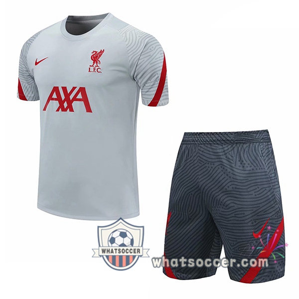 FC Liverpool + Shorts Light Gray Training T-Shirt Suit 2020-2021