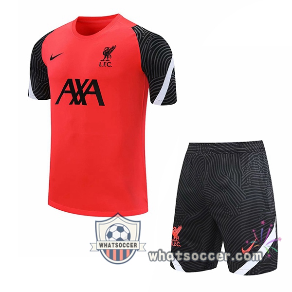 FC Liverpool + Shorts Red Training T-Shirt Suit 2020-2021