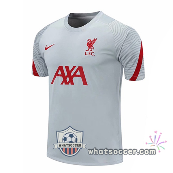 FC Liverpool Light Gray Training T-Shirts 2020-2021
