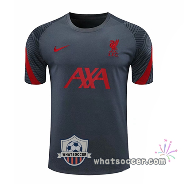 FC Liverpool Dark Gray Training T-Shirts 2020-2021