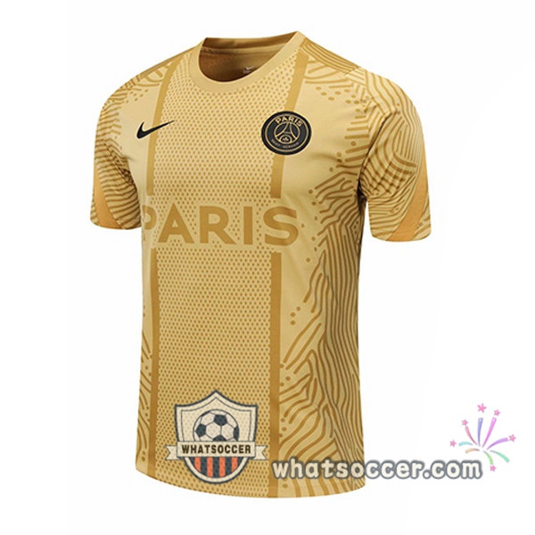 Paris PSG Yellow Training T-Shirts 2020-2021