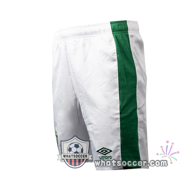 UMBRO FAI Ireland Home Soccer Jerseys 2020-2021