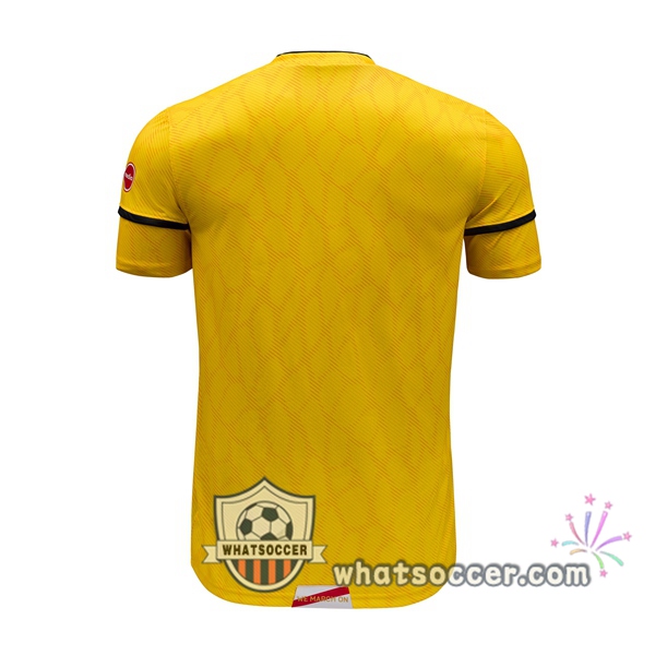 Southampton FC Goalkeeper Soccer Jerseys Yellow 2020-2021