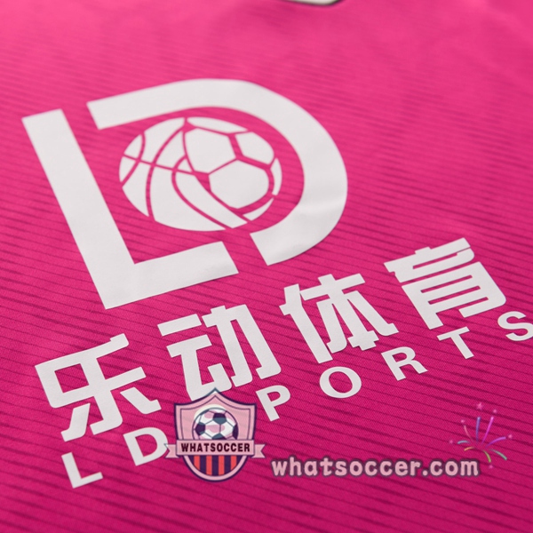 Southampton FC Goalkeeper Soccer Jerseys Rose 2020-2021