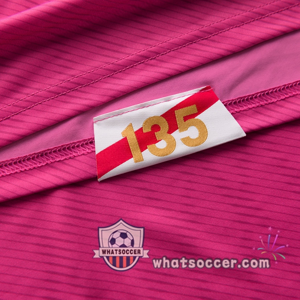 Southampton FC Goalkeeper Soccer Jerseys Rose 2020-2021