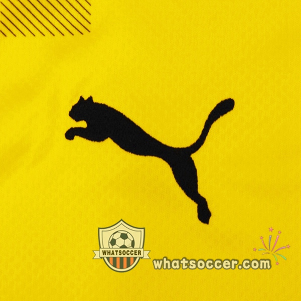 Dortmund BVB CUP Soccer Jerseys 2020-2021