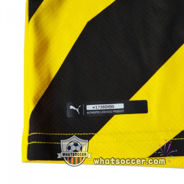Dortmund BVB Home Soccer Jerseys 2020-2021