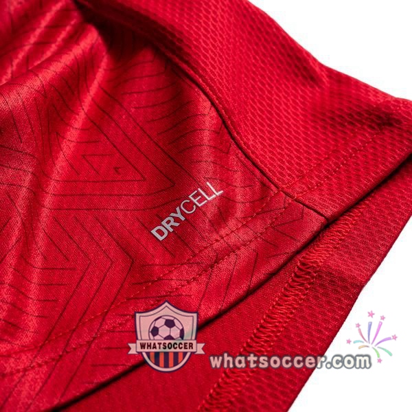 Czechia Home Soccer Jerseys 2020-2021