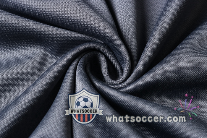 Germany Light Gray Tracksuit 2020-2021