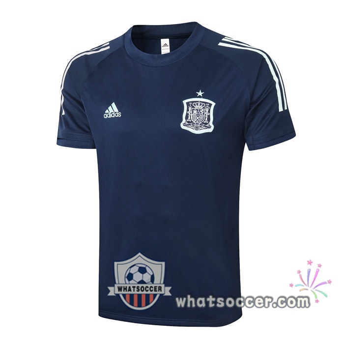 Spain + Pants Blue Royal Training T-Shirt Suit 2020-2021