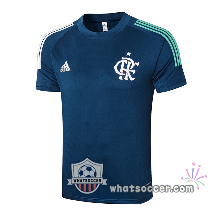 Flamengo + Pants Blue Royal Training T-Shirt Suit 2020-2021