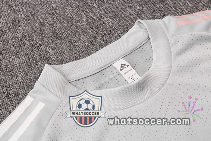 Germany + Pants Light Gray Training T-Shirt Suit 2020-2021