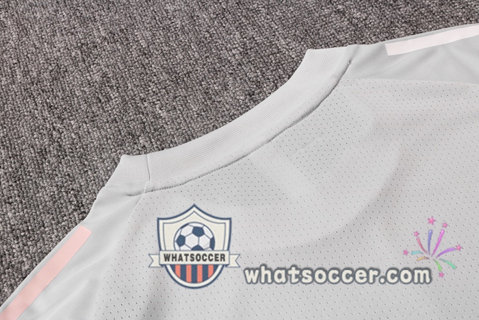 Germany + Pants Light Gray Training T-Shirt Suit 2020-2021