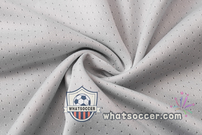 Germany + Pants Light Gray Training T-Shirt Suit 2020-2021