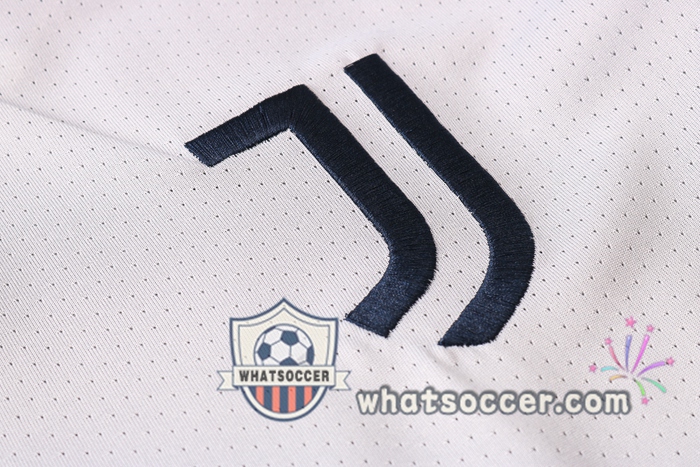 Juventus + Pants Light Gray Training T-Shirt Suit 2020-2021