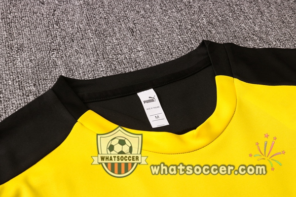 Dortmund BVB + Pants Yellow Training T-Shirt Suit 2020-2021