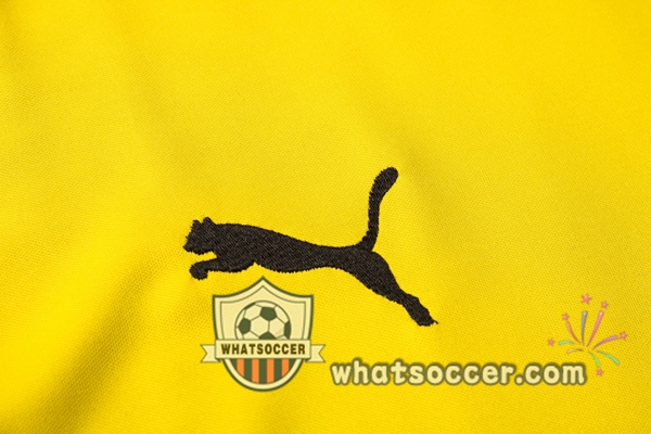 Dortmund BVB + Pants Yellow Training T-Shirt Suit 2020-2021