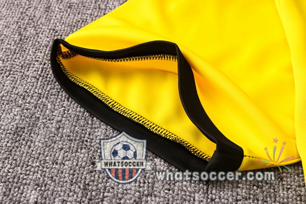 Dortmund BVB + Pants Yellow Training T-Shirt Suit 2020-2021