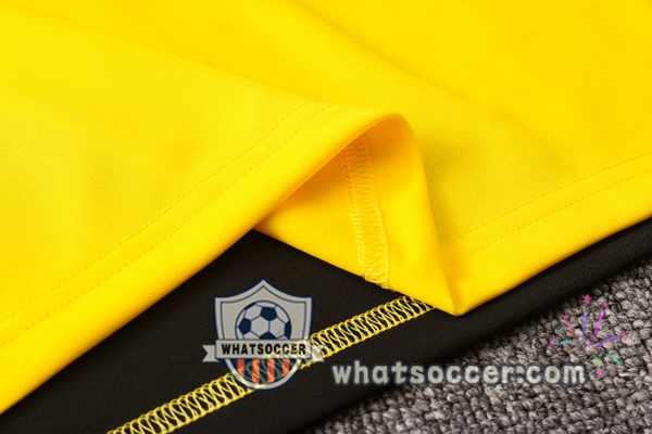 Dortmund BVB + Pants Yellow Training T-Shirt Suit 2020-2021