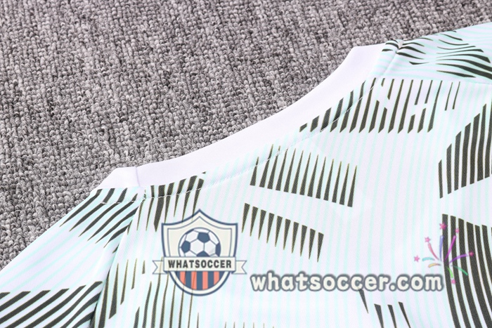 Palmeiras + Pants White Training T-Shirt Suit 2020-2021