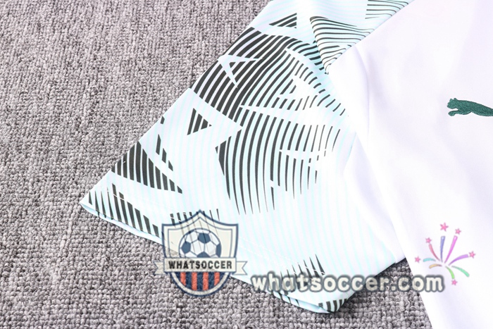 Palmeiras + Pants White Training T-Shirt Suit 2020-2021