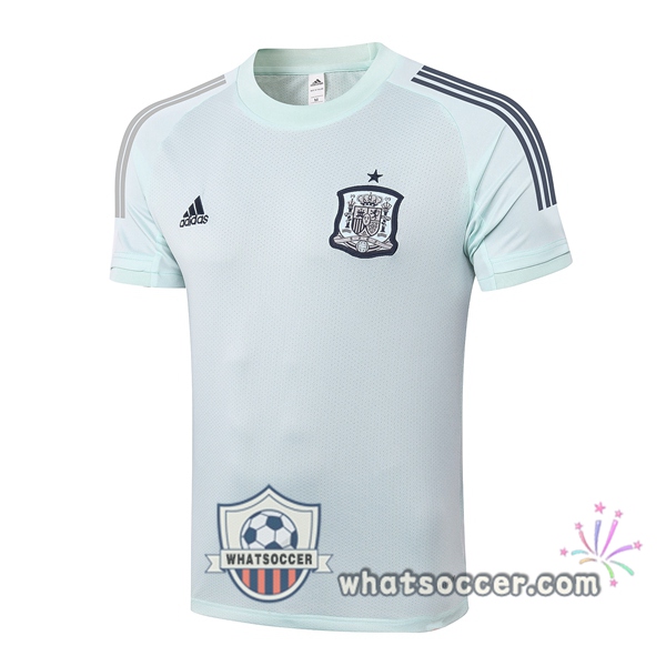 Spain Light Green Training T-Shirts 2020-2021