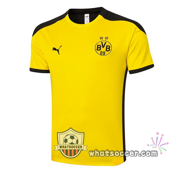 Dortmund BVB Yellow Training T-Shirts 2020-2021