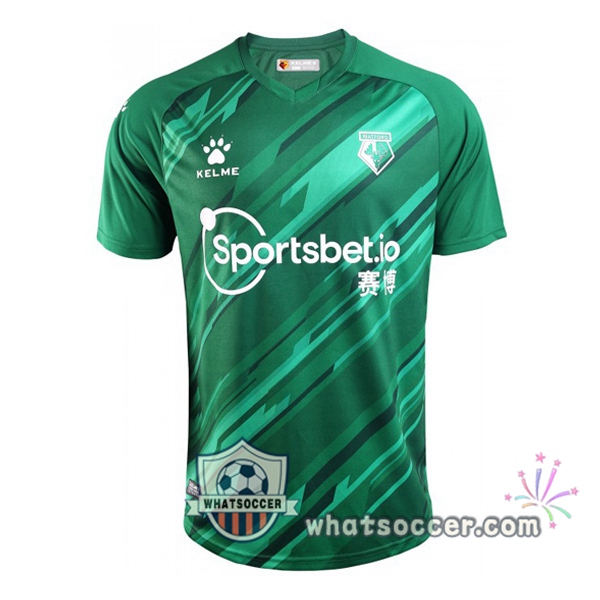Watford FC Goalkeeper Soccer Jerseys Green 2020-2021