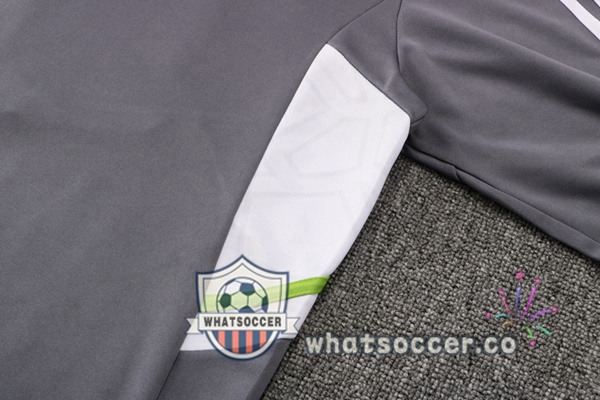 Algeria Gray Tracksuit 2021-2022