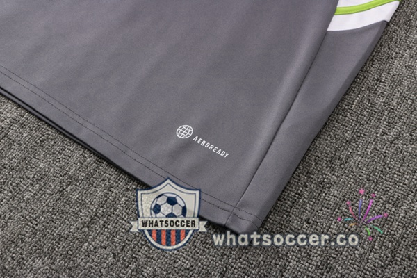 Algeria Gray Tracksuit 2021-2022