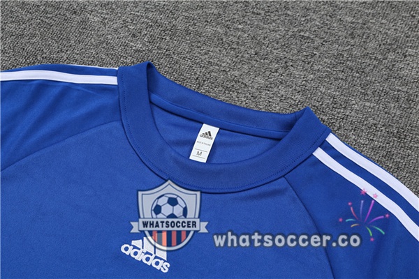 Juventus Blue Tracksuit 2021-2022