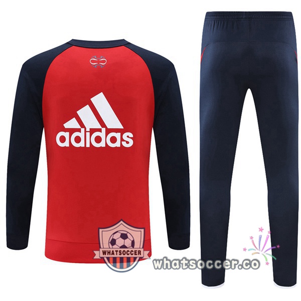 Bayern Munich Red Blue Royal Tracksuit 2021-2022