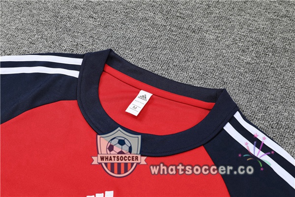 Bayern Munich Red Blue Royal Tracksuit 2021-2022