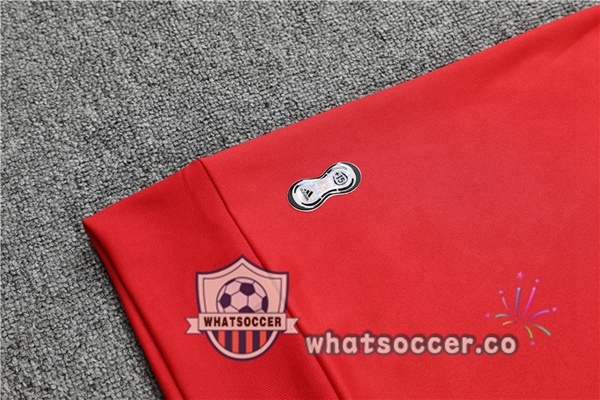 Bayern Munich Red Blue Royal Tracksuit 2021-2022