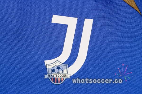 Juventus Blue Training Jacket 2021-2022