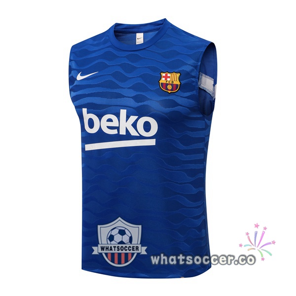 FC Barcelona Blue Soccer Vest 2021-2022