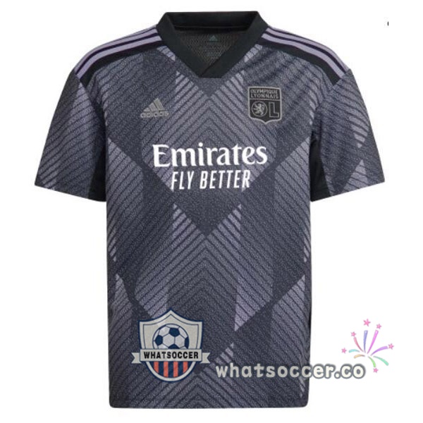 Olympique Lyonnais Third Soccer Jerseys Gray 2022-2023