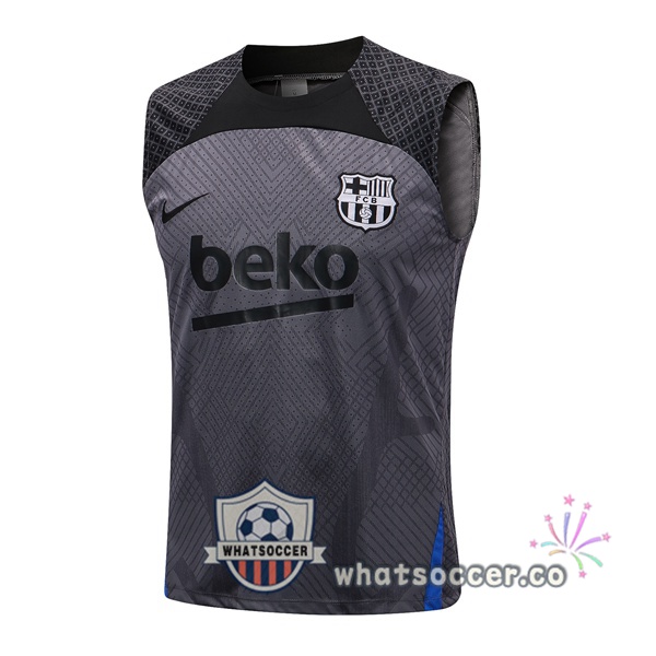 FC Barcelona Gray Soccer Vest 2022-2023